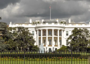 Two Reasons There’s Money on a Third Trump Term