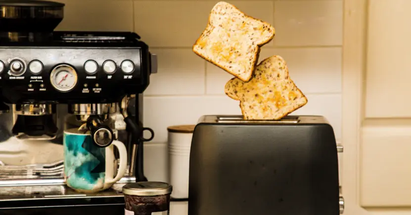 Toaster appliance