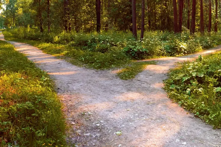 Inplay Forging New Path to Sports Trading