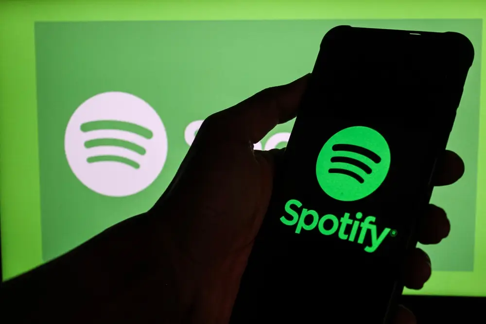Spotify Leak Explained